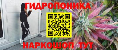 мдпв Нальчик