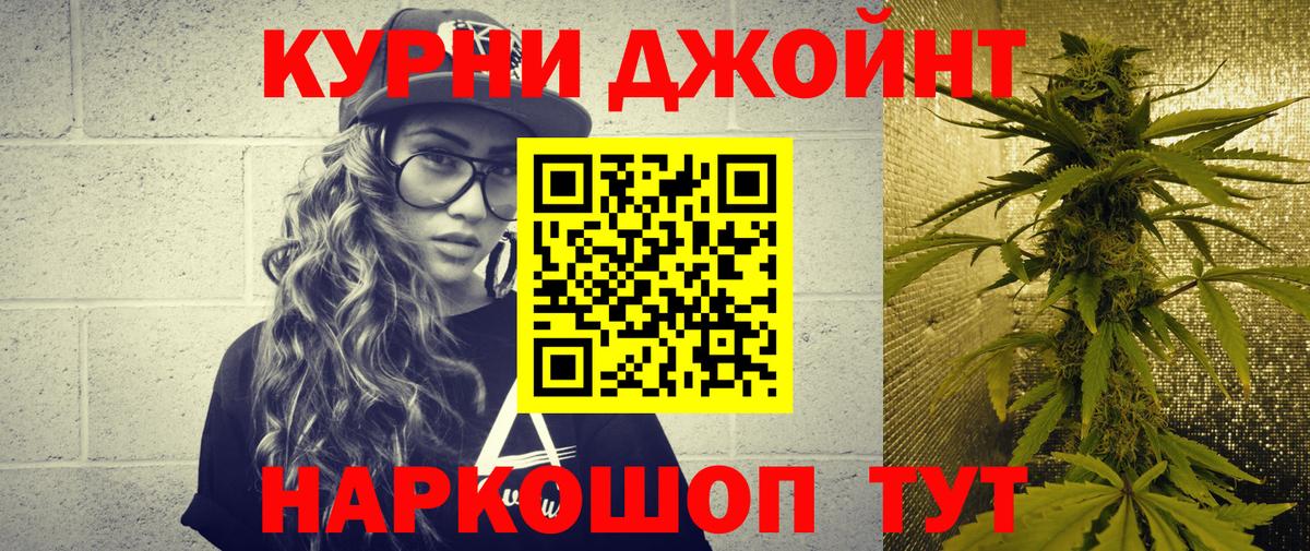 Марихуана сатива Шатура